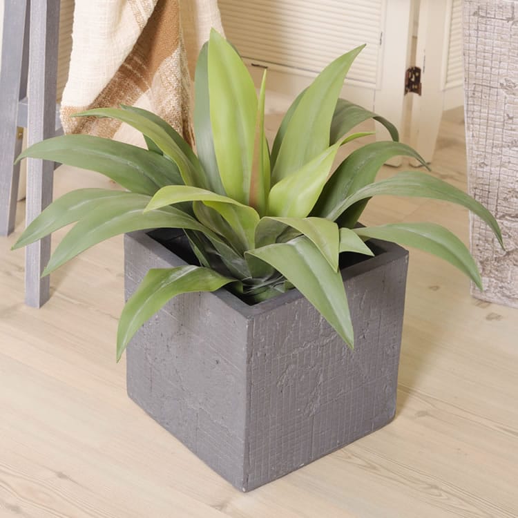 [ 期間限定 SALE 最大3,000円off クーポン 配布中 ] 植木鉢 グリーンベース W25×D25×H25.5 ( 大型 プランター おしゃれな植木鉢 鉢 ベース 入れ物 観葉植物入れ 飾り インテリア インテリア雑貨 室内 おしゃれ )
