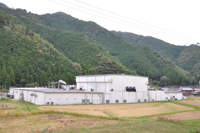 北村きのこ園きのこ詰め合わせギフト(中)鳥取県産要冷蔵産地直送