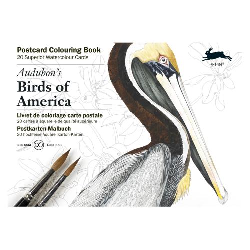 [メール便可] カラーリングブック ポストカード アメリカの鳥 ぬりえ ギフト プレゼント 公式通販サイト