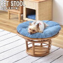 PET STOOL ペットスツール