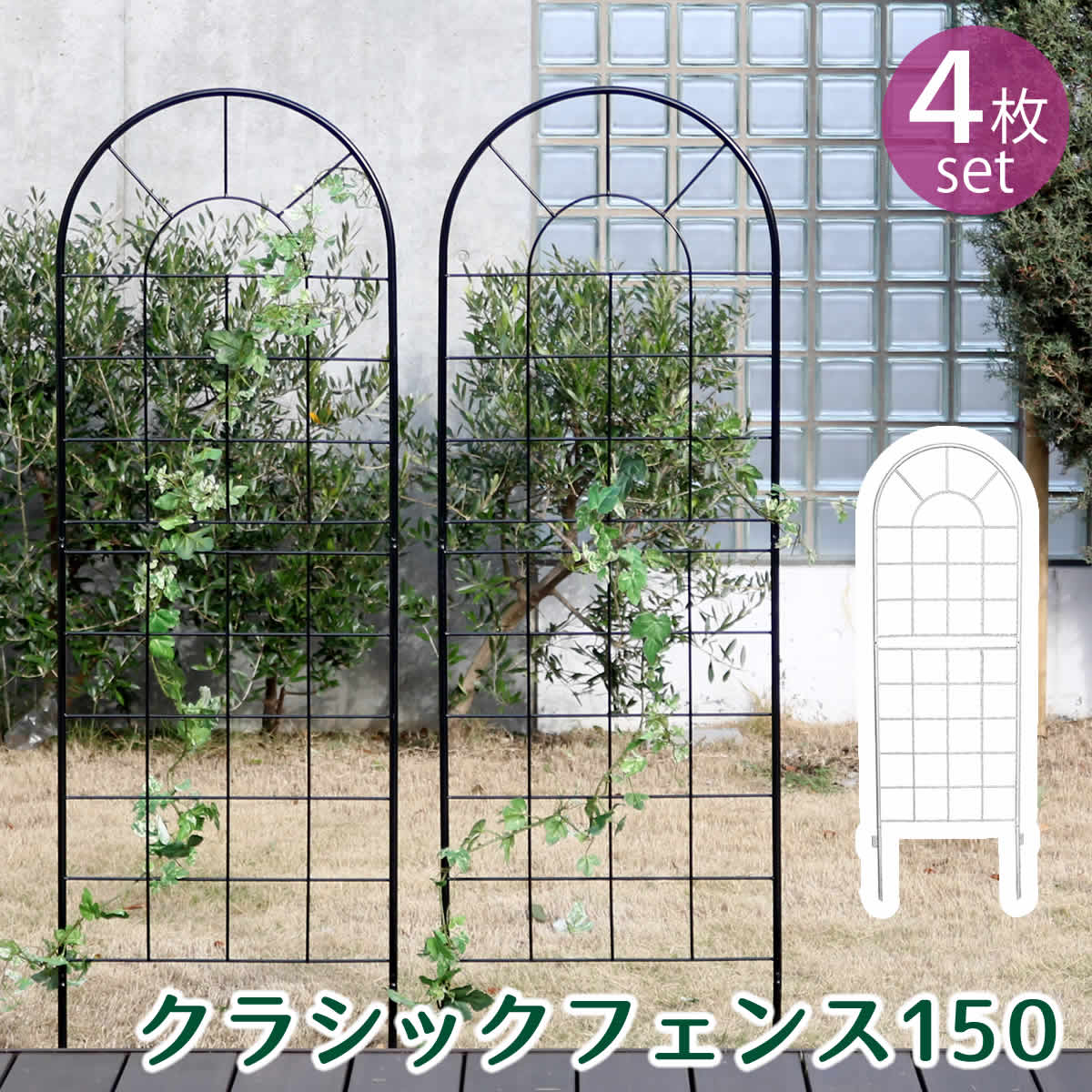 饷åե150 4祻å