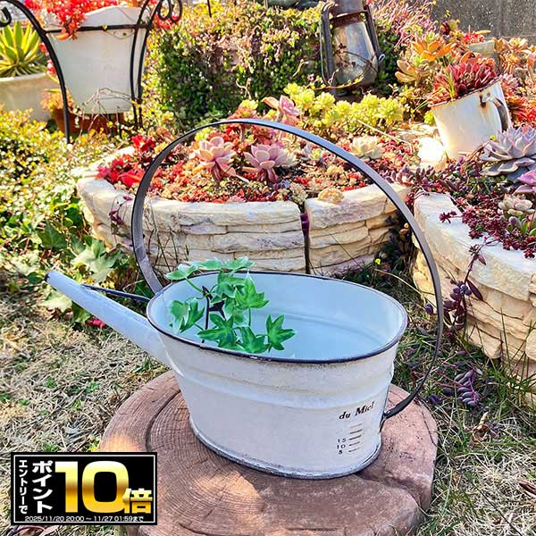 [ȥ꡼ǥݥ10 11/20 20]硼֥ꥭץ󥿡ߥ른硼W ۥ磻 (UN2180) 祦/ϥ󥮥/ߤ겼/...