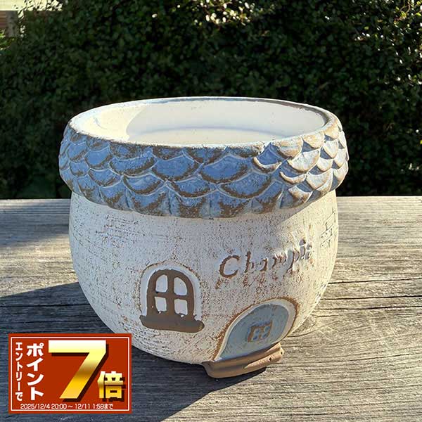 [エントリーでポイント 7倍 12/4 20時〜]丸い家型プランター シャンピサークルSBL ブルー TH192 セメント/プランター/植木鉢/ガーデニング/インテリア/おしゃれ/友膳/ギフト/観葉植物/ジャンクガーデン/穴あり