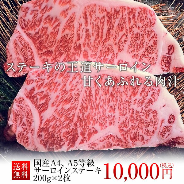 サーロインステーキ 400g (200g×2枚) 冷蔵 贈答用 ステーキ肉 黒毛和牛 A4 A5 ランク ギフト 国産 霜降り ステーキ …