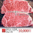 牛匠乙ちゃん ステーキ サーロインステーキ 400g (200g×2枚) 冷蔵 贈答用 ステーキ肉 黒毛和牛 A4 A5 ランク ギフト 国産 霜降り ステーキ 和牛 高級 焼肉 お取り寄せグルメ 牛肉 高級 肉 お歳暮 内祝 贈り物 プレゼント お祝い 誕生日 お正月 乙川畜産食品 乙ちゃん 敬老の日