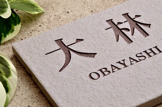 ɽ�� ������ �ͷ��� ������ɽ�� ������� �� ��٥�����֥롼 �� Ĺ���� 92��192mm Ž���դ� ��ñ ����դ� ���å��դ� ������ ���� ���������ᥤ�� ��ǽ���� ���� ���襤�� ���� ɮ���� ��� �����޻� �� �ѡ��ץ�