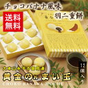 羽二重餅 チョコバナナ風味 【黄金のぉまい玉 12個入】 福井 銘菓 お歳暮 お土産 スイーツ ギフト 福井弁 お菓子 送料無料 楽天ラッキーシール付