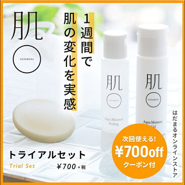 実質無料 肌〇1週間トライアルセット 洗顔石鹸 ピーリング オールインワンゲル リピュジュア ヒアルロン酸 ヒト型セラミド 皮脂 毛穴 黒ずみ くすみ 乾燥 テカリ 花粉 保湿 低刺激 乾燥肌 敏感肌 の方におすすめ お試し トライアル はだまる 肌まる hadamaru 送料無料