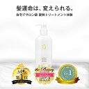 【シャンプー単品：自宅で本格酸熱トリートメント体験】レブリ シャンプー 295mL LEVULI shampoo 髪質改善 やわらかい酸熱 くせ うねり ダメージ補修 レブリン酸 サロン専売【LDK the Beauty 「第1位」&「ベストバイ」 レブリ シャンプー & トリートメント】