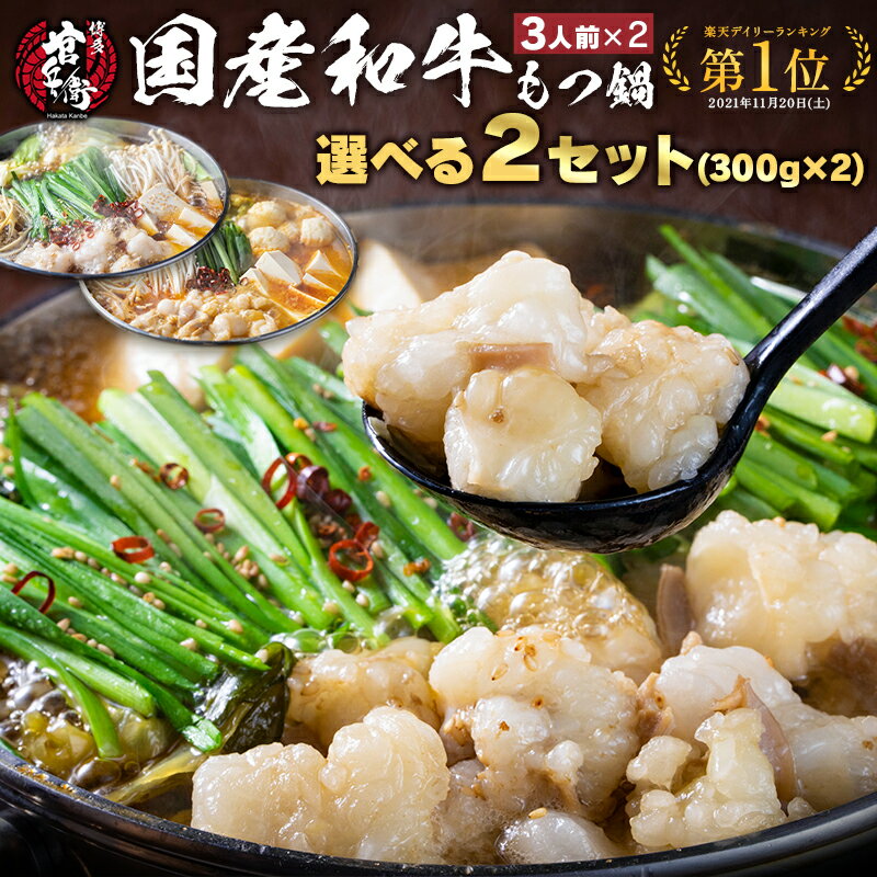 国産和牛もつ鍋 【選べる2個セット】 和牛もつ300g×2 （3～4人前×2） 6種の味 もつ鍋 送料無料 もつ鍋 人気 もつ鍋セ…