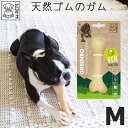 【即納】【全品対象10%OFFクーポン】犬 デンタルトイ 天然ゴム ラバートイ 歯磨き 歯固め 硬め 丈夫 子犬 小型犬 中型犬 壊れにくい ECO 安全 M-PETS GREENBO Mサイズ Petifam