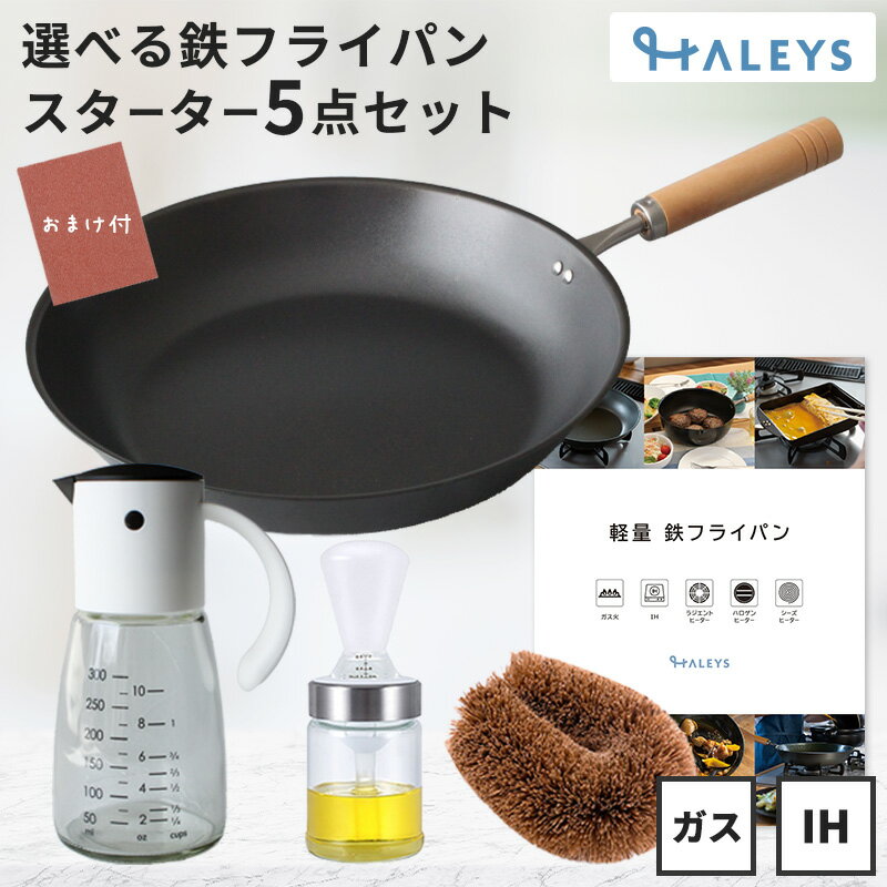 ＼ ガイドブック付き ／ 鉄フライパン スターターセット オイルポット オイルブラシ たわし セット 軽量 軽い フライパン 直火 燕三条製 日本製 油引き タワシ 初心者 ギフト プレゼント