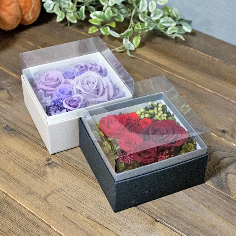 �ץꥶ���֥ɥե��ܥå��� Ʃ���Υե��դ�Լ���������ɤ��Ǥ��Ĺ���� £��ʪ�ˤ⤪������ bx180