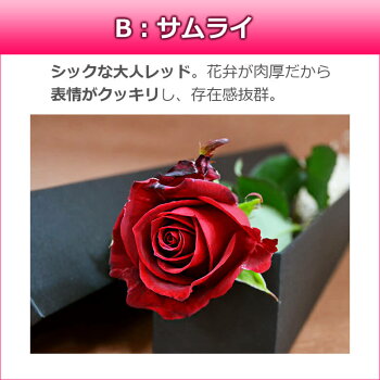 楽天市場 大輪バラ 一輪box 薔薇 花束 即日発送14時までok 結婚記念日 誕生日 父の日 プレゼント 妻 ボックス プロポーズ 1本 一本 1輪 箱入り 両親 バラの花束 通販 Hana Rug 楽天市場 大輪バラ 一輪box 薔薇 花束 即日発送14時までok 結婚記念日 誕生日 父の日 プレゼント 妻 ボックス プロポーズ 1本 一本 1輪 箱入り 両親 バラの花束 通販 Hana Rug