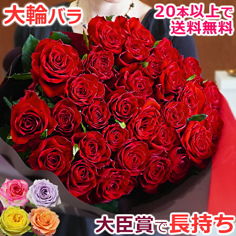 大臣賞 大輪バラの花束 10本から本数指定OK 誕生日 プレゼント プロポーズ 12本 11本 薔薇 花 赤 結婚記念日 妻 還暦 退職 結婚祝い 女性 両親 ギフト ブーケ 大きい ボリューム 15本【20本以上送料無料】30本 40本 50本 60本 黄色 オレンジ 紫 白 生花 男性