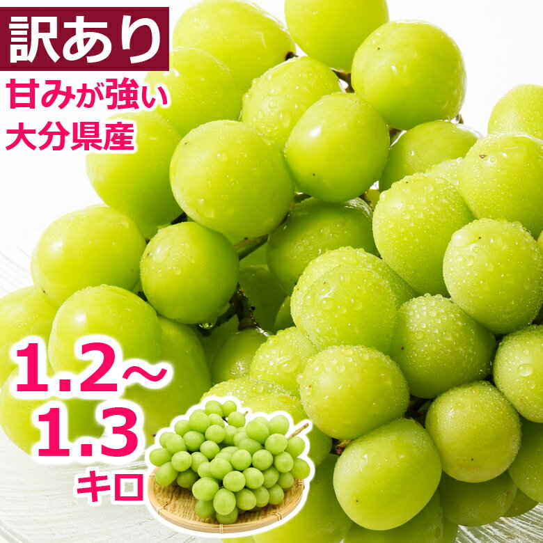 【訳あり】シャインマスカット 大分県産 約1.2～1.3kg 種無し ぶどう 葡萄 皮まで食べられる 高糖度 秋 果物 甘い 贈り物 ギフト プレゼント 旬 フルーツ 果物