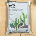 FlowerKitchen for Business㤨(ñʹǽڿʪȥåȤΤξ̵ˡ۲ѡ evo- ¿ܥƥ󤬸˰ 2L    ʪ soil  ƥꥢץ FKTS Х󥿥 ۥ磻ȥǡ פβǤʤ440ߤˤʤޤ