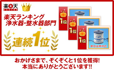シーガルフォー浄水器 交換カートリッジ RS-1SGH 【あす楽対応 全国送料無料】【正規品】【対応機種:X-1DS,X1-MA02,X1-GA01,X1-KA1402,X-1BS,X1-MS02,X1-MS03,RS-1SG,RS-1SGH-SW,X-1KF】【シーガル4】【SEAGULL IV】