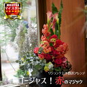 フラワー アレンジメント 花 かわいい 誕生日 お祝 開店祝い プレゼント カラー シンビジウム ダリア バラ 赤が印象的な 高さのある アレンジ 送料無料 【...