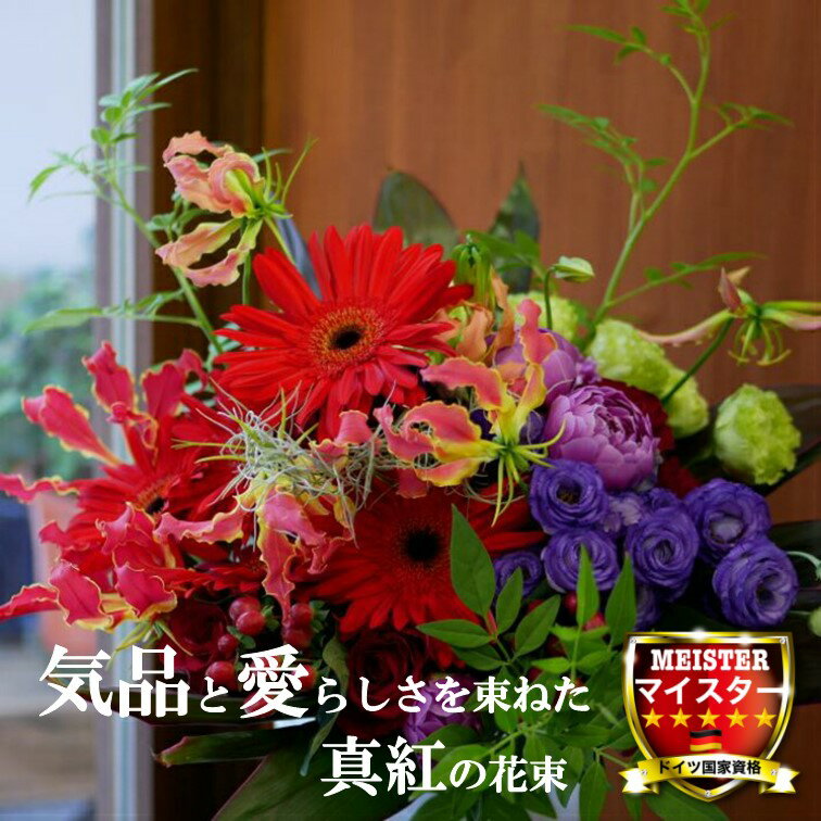 « ե  襤   Źˤ ץ쥼 ٥ ȥ륳祦 ҥڥꥫ ꥪ ֡ ֡ ̵ ...
