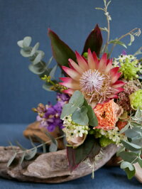 プロテア 花 結婚記念日 誕生日 ワイルドフラワー プレゼント ヨーロピアンアレンジ花 ガーデン Diy フローリストマイスターが作る ヨーロピアン フラワーブーケ フローリストマイスターが作る ヨーロピアンフラワーブーケ 送料無料 ギフト 結婚記念日 花 御祝 プロテア 花 結婚記念日 誕生日 ワイルドフラワー プレゼント ヨーロピアンアレンジ花 ガーデン Diy フローリストマイスターが作る ヨーロピアン フラワーブーケ フローリストマイスターが作る ヨーロピアンフラワーブーケ 送料無料 ギフト 結婚記念日 花 御祝