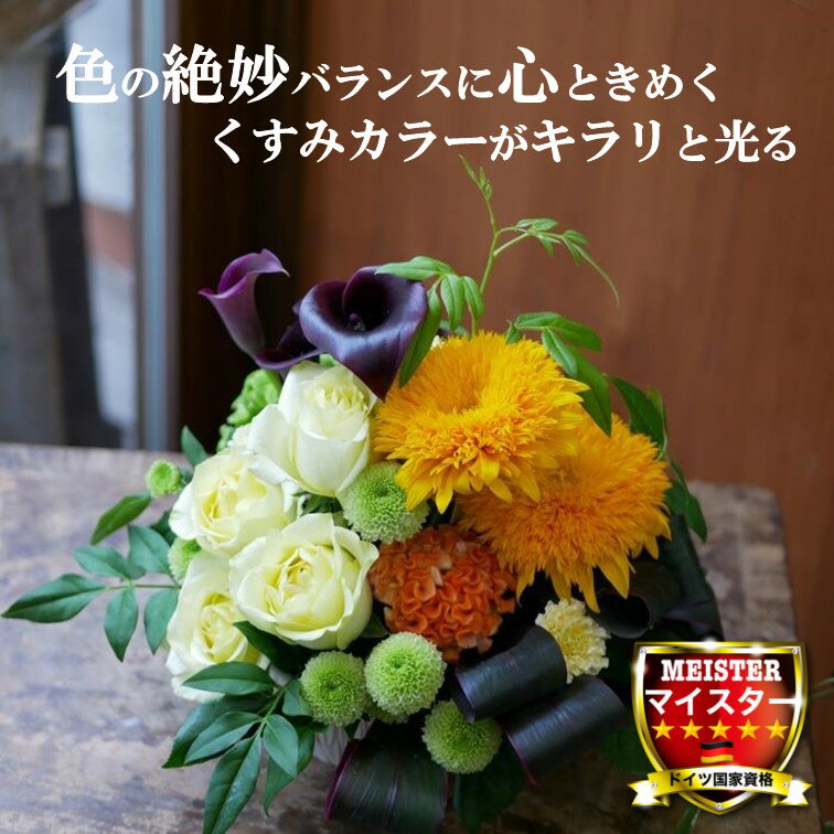 ե 󥸥  襤   Źˤ ץ쥼 Ҥޤ Х 顼 ȬŤΤҤޤ  襤  ̵ ڲ־...