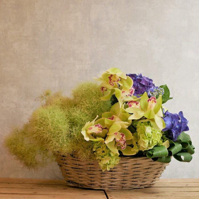 値引 フラワー アレンジメント 花 かわいい 誕生日 お祝 開店祝い プレゼント アジサイ シンビジウム スモークツリー アレンジ 送料無料 母の日 メール便なら送料無料 Pernos Com Pe