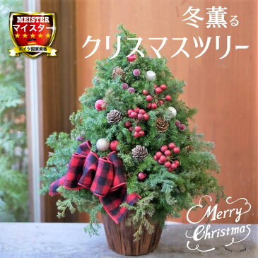 クリスマス ツリー アレンジ Mサイズ ディスプレイ クリスマスプレゼント 飾り ナチュラル 豪華 インテリア 北欧風 ドイツ風 北欧 ドイツ 長持ち 赤 オレンジ ゴールド シルバー グリーン 緑 おしゃれ かわいい 自宅 店舗用 ギフト プレゼント 天然素材 生花 送料無料