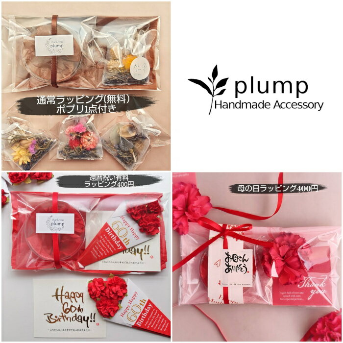  Plump  åԥ ե ץ쥼  ñʹԲ 