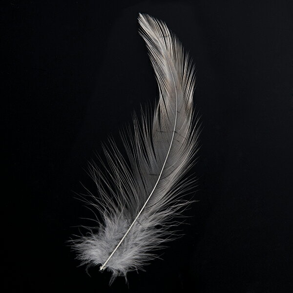 �� ���� ���졼 20�� 5-12cm �����Ѥα����ڥ᡼���ء۱� ȱ���� �� ��� �� �ӡ��� �� ˹�Ҿ��ꡡ�ɥ꡼�७��å��㡼