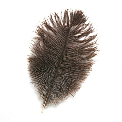 オーストリッチ小 15-25cm （ブラウン） この羽根はディスプレイ、アクセサリー、ヘットドレス等に使用されてます。