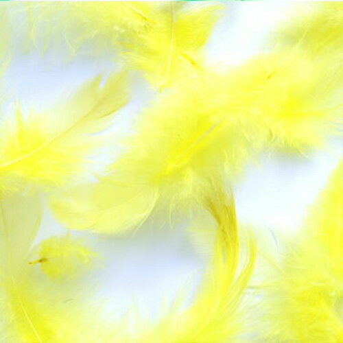 Rakuten - 羽 募金羽根 黄色 イエロー 5g 黄色の羽根 【メール便】羽 髪飾り 羽 手芸 羽 ビーズ 羽 帽子飾り　ドリームキャッチャー