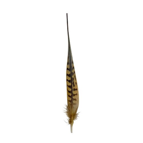 シャケイ尾 2本　装飾用の羽根 