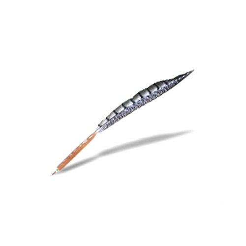 Rakuten - ギンケイ尾ペン（約30cm）こだわりの羽根ペン