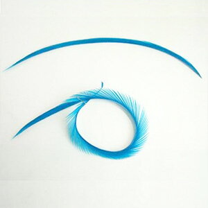 個性ある各種の羽根を取り揃えています。各自のデザインに合った羽根を揃えています。 5枚 ※掲載商品はすべて消費税込みの価格です。すべてのDIY フェザー クラフト作品 製作にどうぞ。