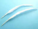 尾毛 白 (20-25cm) 1 本 羽根/フェザー【装飾用】【送料無料】【アクセサリー パーツ 羽 手芸 アクセサリ しゅげい 白い羽根 羽根飾り】