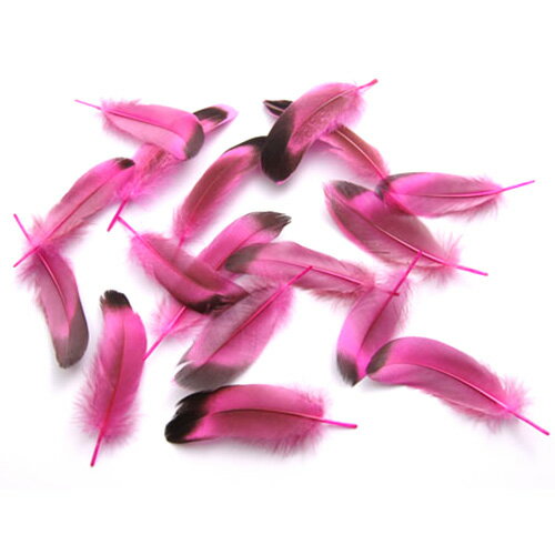 鴨目玉 （ピンク） 15本　4－6cm　先端が黒で玉のようなデザインの羽根になります。装飾用の羽根【メール便可能】