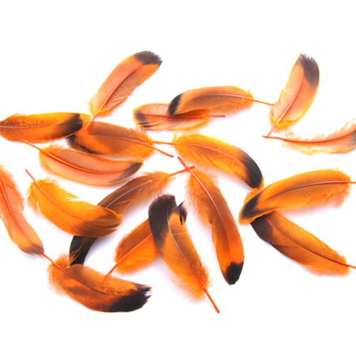 鴨目玉（オレンジ）15本　4－6cm　装飾用の羽根【フェザー アクセサリー パーツ 羽 手芸 アクセサリ しゅげい 羽根飾り】送料無料【メール便】