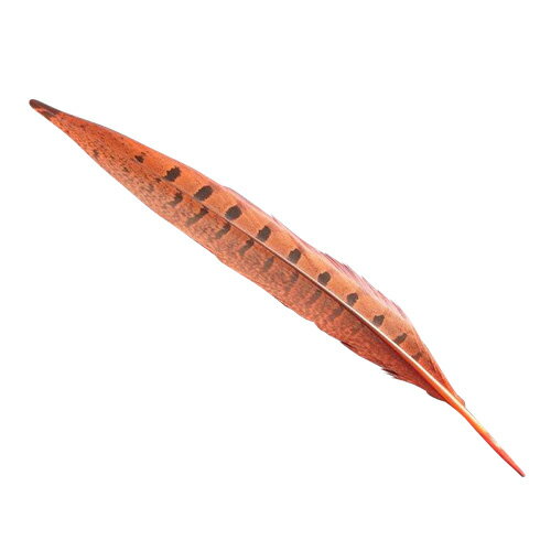 羽 キジ尾　赤染（20-25cm）1本【装飾用】【羽根】【アクセサリー パーツ 羽】【フェザー 手芸】【アク..