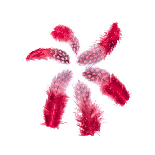 ۥۥĻ Ѥα ڥ꡼ ѡ  ե   夲10ڥ᡼ء