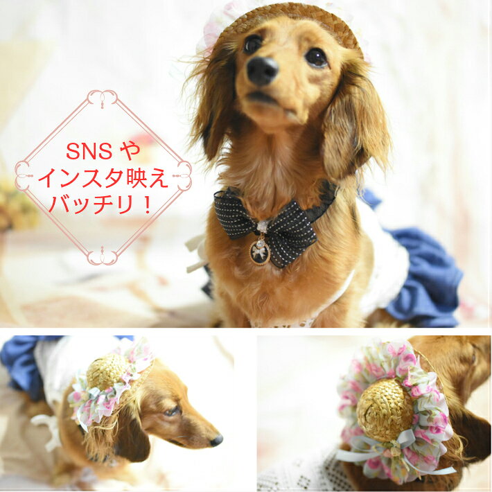 【犬 アクセサリー】 シフォン リボン 麦わら帽子 髪飾り ペット 【トイプードル/チワワ/ヨークシャテリア/Mダックスなどの小型犬・猫用】の商品画像 3