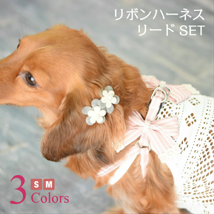 【犬 ハーネス】 リボン ボーダー ハーネス リード セット 【トイプードル/チワワ/ヨークシャテリア/Mダックスなどの小型犬・猫 ペット用】