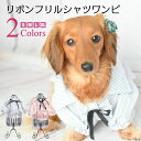 【犬 服】 【春 夏】 フリル リボン ストライプ シャツ ワンピース 【トイプードル/チワワ/ヨークシャテリア/Mダックスなどの小型犬・猫用 ペットウエア】