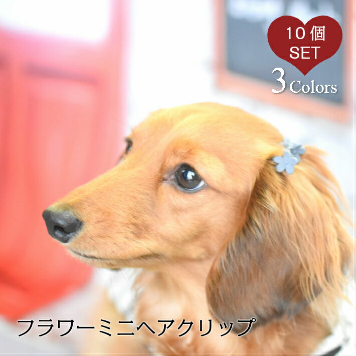 【犬 ヘアアクセサリー】 フラワー ミニ ヘアクリップ ヘアピン 10個セット