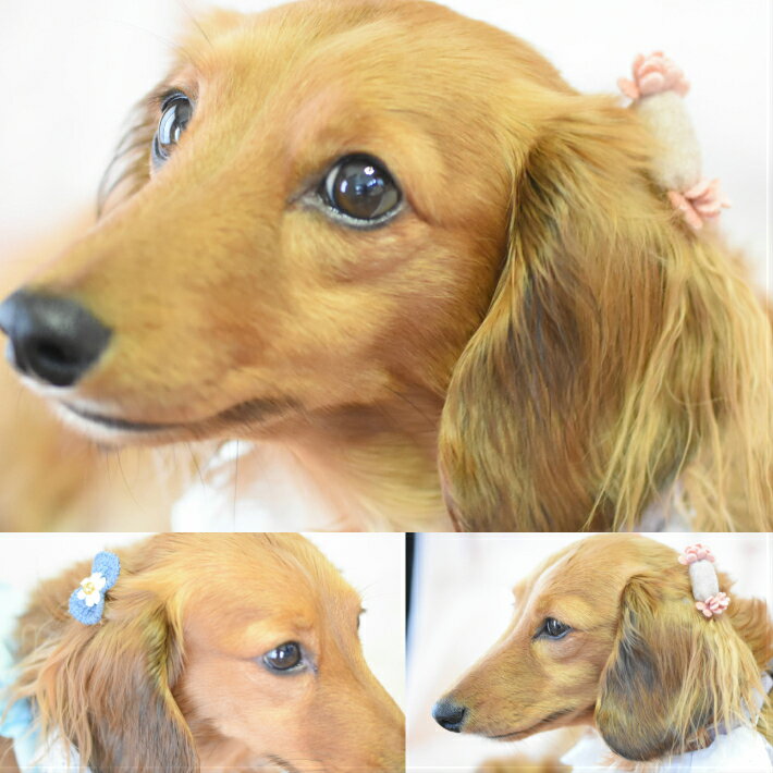 4点モチーフヘアゴム