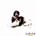 犬の置物 3匹 ミニチュア 犬 AO-820 ミニ 置き物 かわいい 動物 アニマル マスコット オブジェ オーナメント 癒し インテリア 訳あり アウトレット...