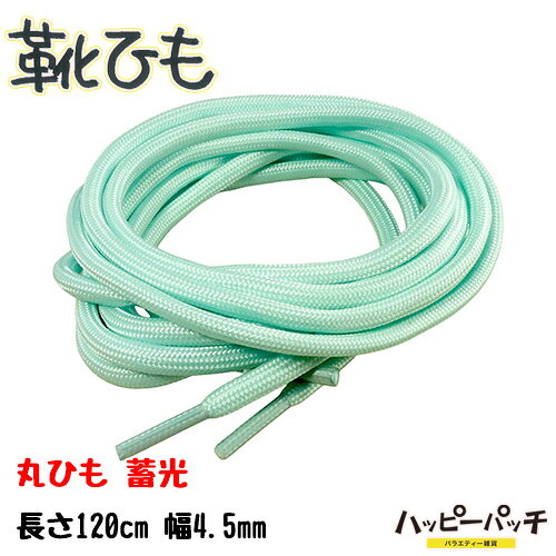 靴ひも 靴紐 丸紐 蓄光 夜光 水色 スカイブルー 幅4.5mm 長さ 約120cm 無地 1足セット 2本入 丸ひも メンズ レディース シューレース おしゃれ SRA-507 メール便OK