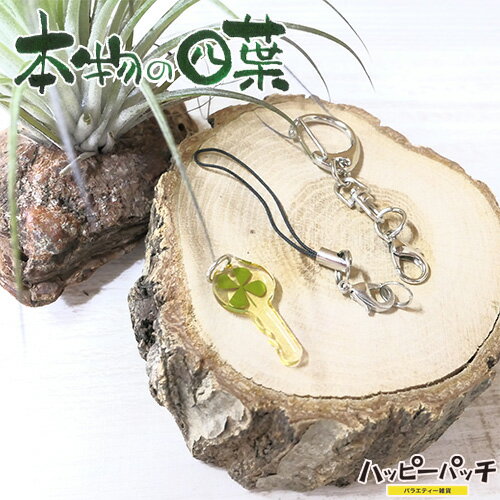 乐天商城 - 四葉 クローバー キーホルダー ストラップ セルフ クリア 鍵 本物の四つ葉 YS-104 メール便OK