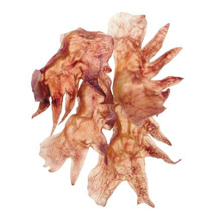 ■アフタヌーングー鶏トサカ 超得用 500g○の紹介画像2