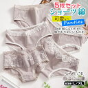 5枚セット ショーツ レディース 綿 おしゃれ 可愛い かわいい 花柄 通気性 10代 20代 30代 パンツ インナー 下着 コットン 肌着 スタンダード 可愛い インナー 下着 女性用下着 スタンダードショーツ パンティー 2025